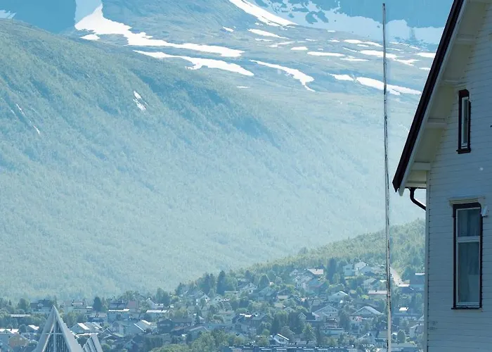 The Arctic Totem - Ice Bear & Sami Winter Garden * Tromsø